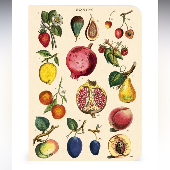 Mushrooms Mini Notebooks (3 pack)
By Cavallini Papers & Co., For Bundles Only - Picture 4 of 8